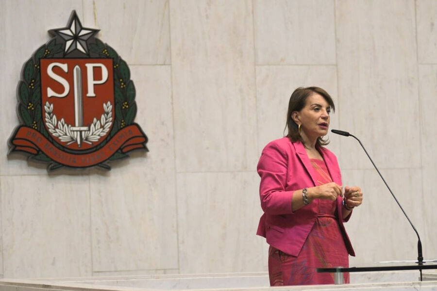 Foto da deputada estadual Professora Bebel falando na tribuna da Alesp