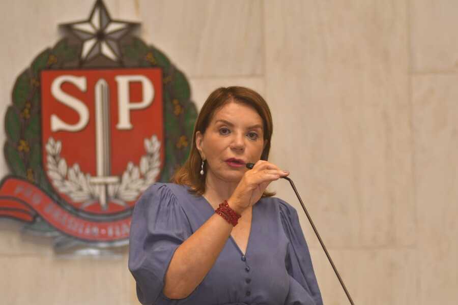 Foto da deputada estadual Professora Bebel falando na tribuna da Alesp