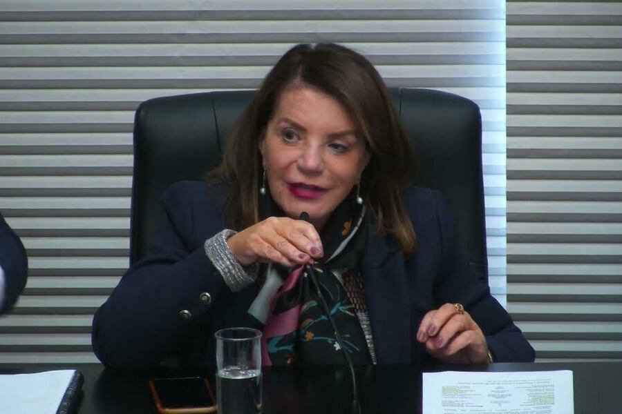 Foto da Deputada Estadual Professora Bebel conduzindo reunião da Comissão de Educação e Cultura da Alesp