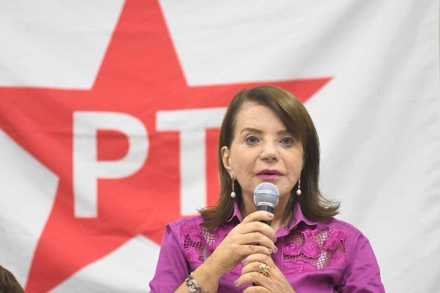 Deputada Professora Bebel fala ao microfone com a bandeira do PT atrás de si.