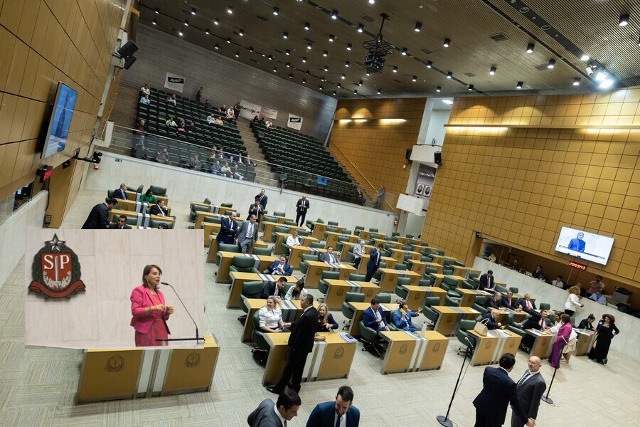 Foto do Plenário da Alesp e das galerias, onde se vê duas bandeirinhas da APEOESP fixadas na parede. No detalhe, foto da Deputada Estadual Professora Bebel.