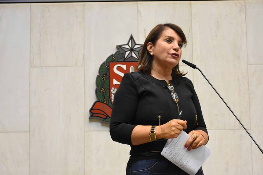 Foto da Deputada Estadual Professora Bebel falando no caminhão de som durante manifestação