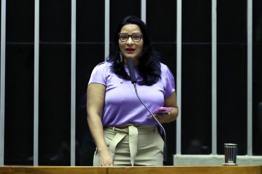 Foto da deputada federal Juliana Cardoso no plenário da Câmara dos Deputados