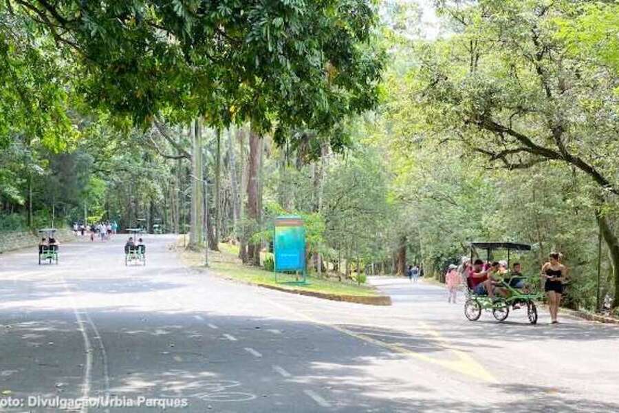 Bicicletas e Triciclos percorrem quaisquer dependências do Horto. Antes, era só na ciclovia