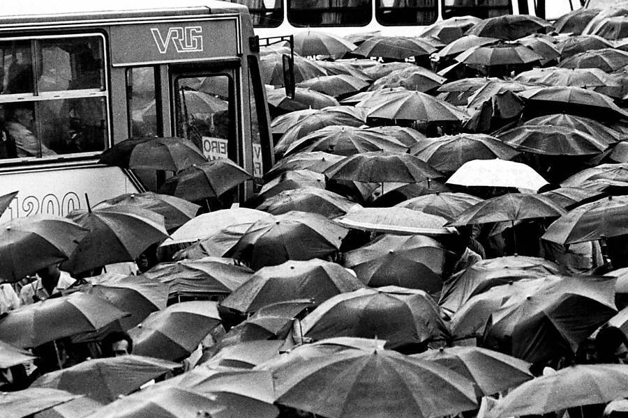 Centenas de pessoas, todas com os guardas-chuvas abertos