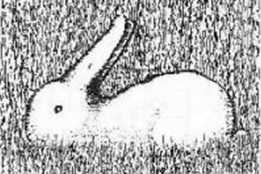 Ilustração de um desenho em que o leitor pode confundir-se, entre se vê um coelho ou um pato olhando pra cima
