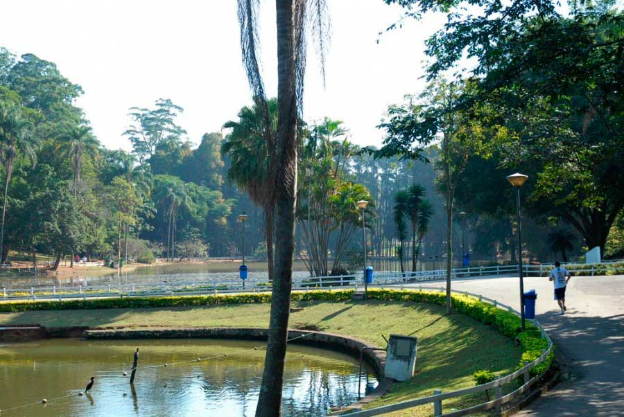 Vista parcial do Horto Florestal de São Paulo